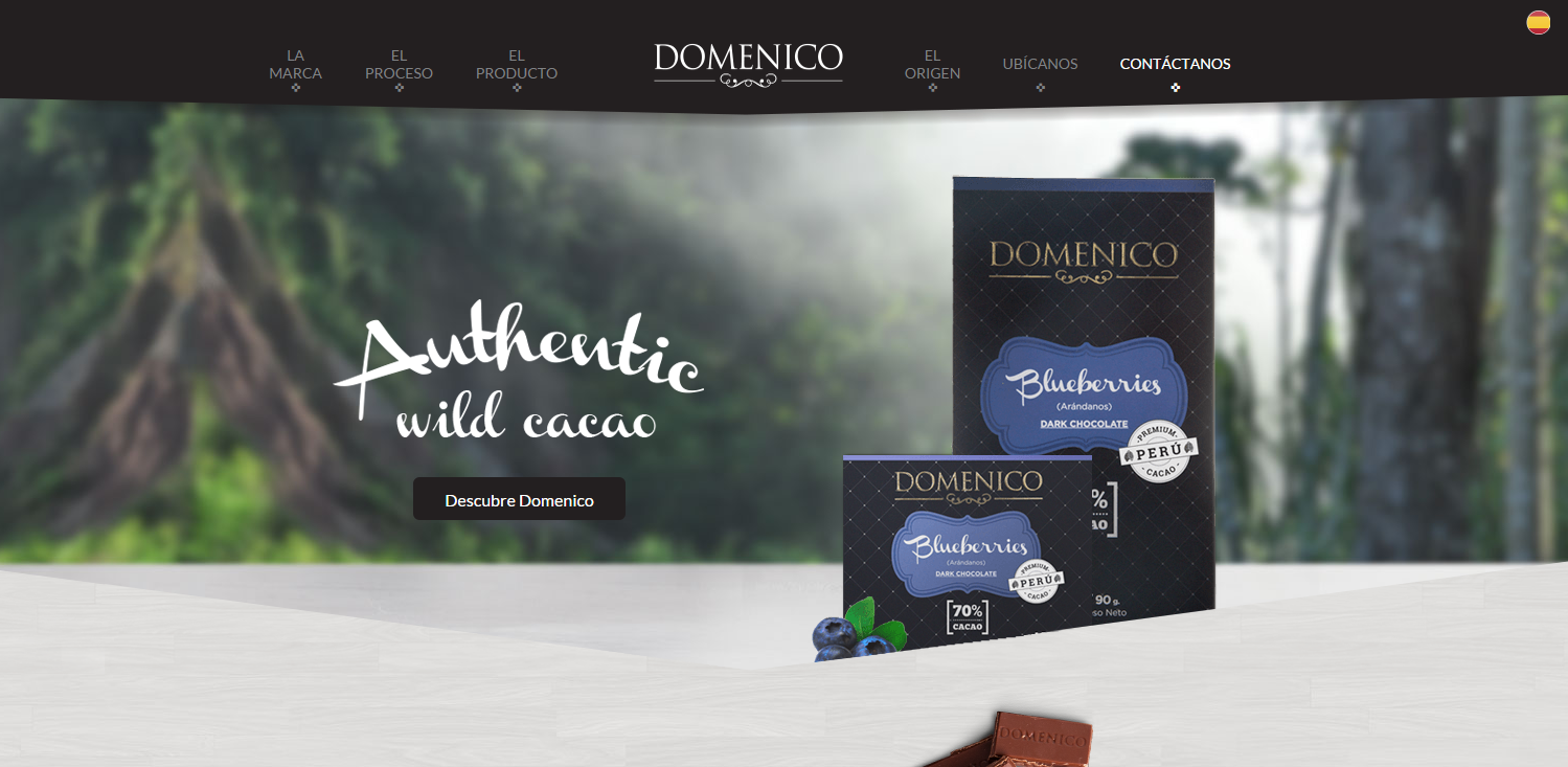 domenico-diseño-web