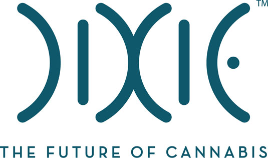 El pensamiento progresivo de Dixie Elixirs encaja con el diseño de logo futurístico.